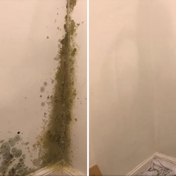 Image of Facebook post